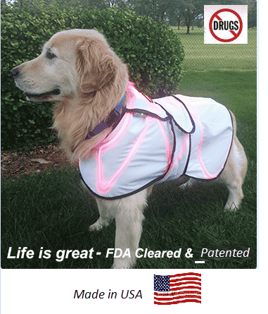 Wearable LASERwrap® Canine Products
