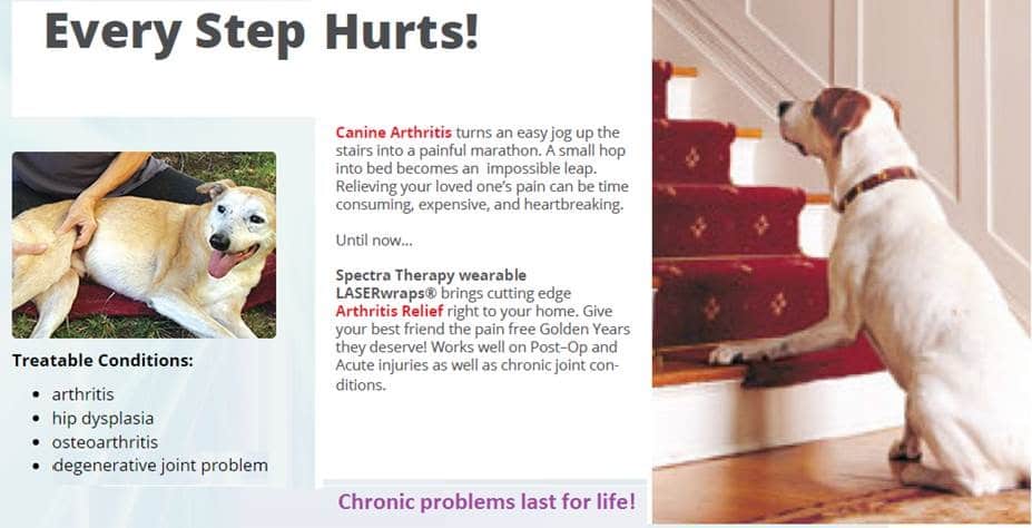 dog laser therapy at home