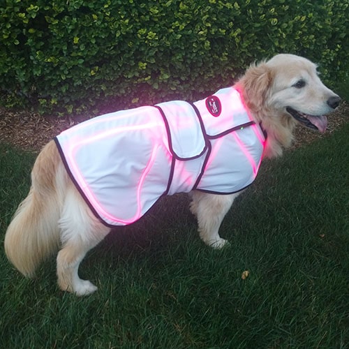 Dog Coat – Sizes XL to XXXL with Two Lasers