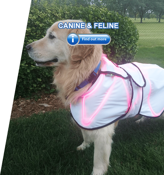 dog laser therapy at home