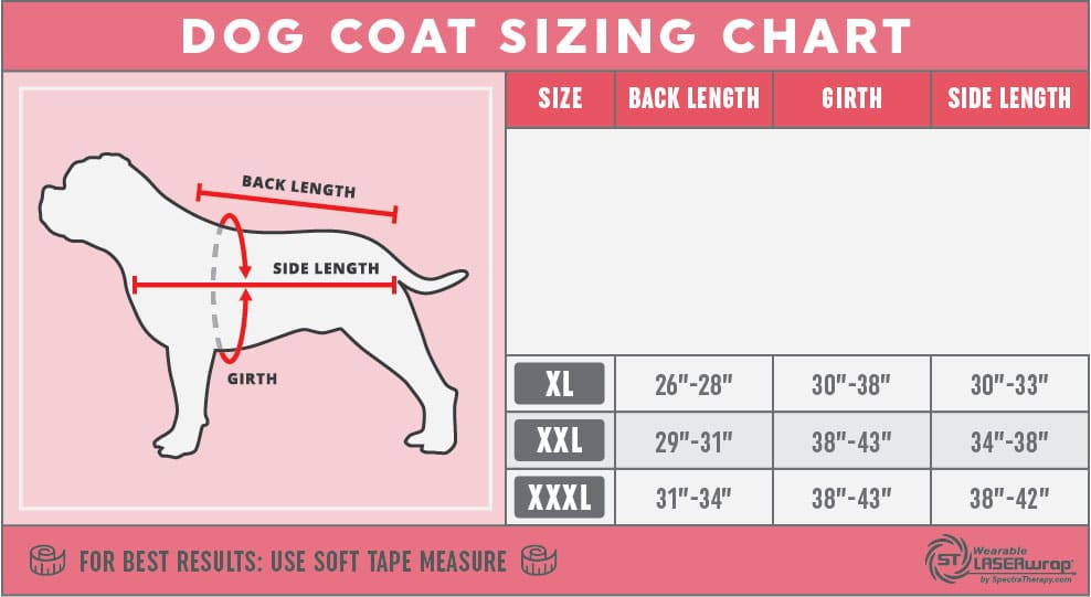 Large Dog Size Chart