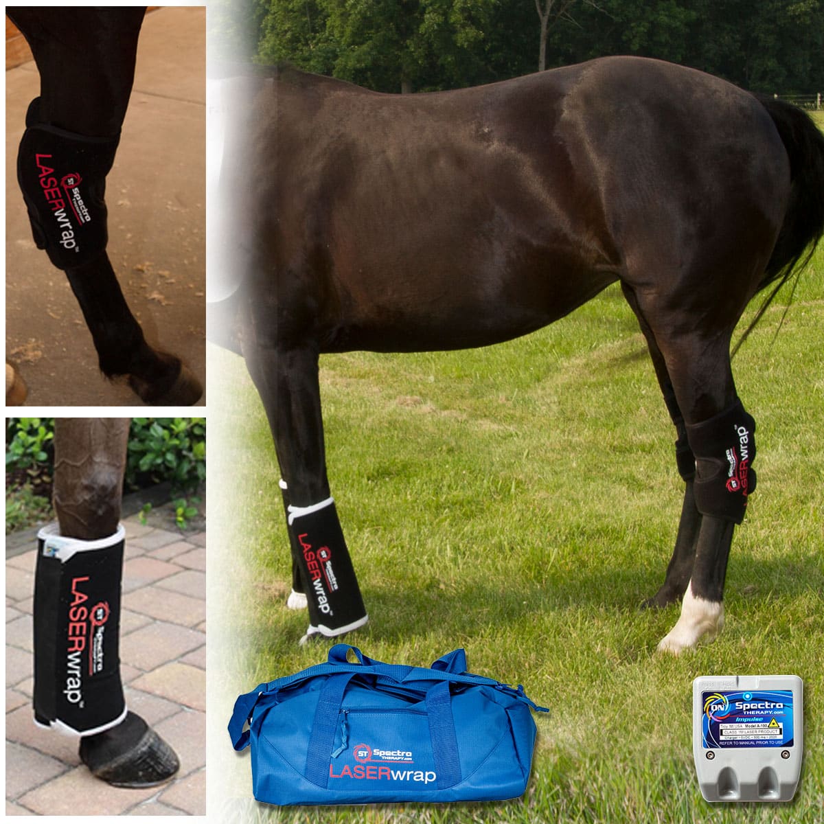 E12 - Combination Tendon And Hock-Knee Wrap Single Laser System