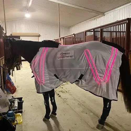 horse blanket with boots