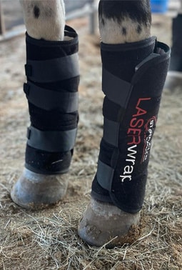 before and after with laser therapy for horses