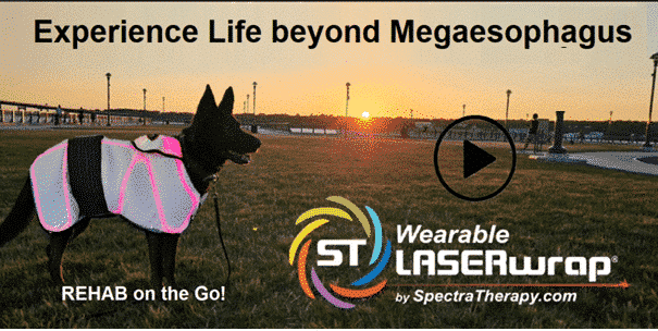 Life beyond Megaesophagus