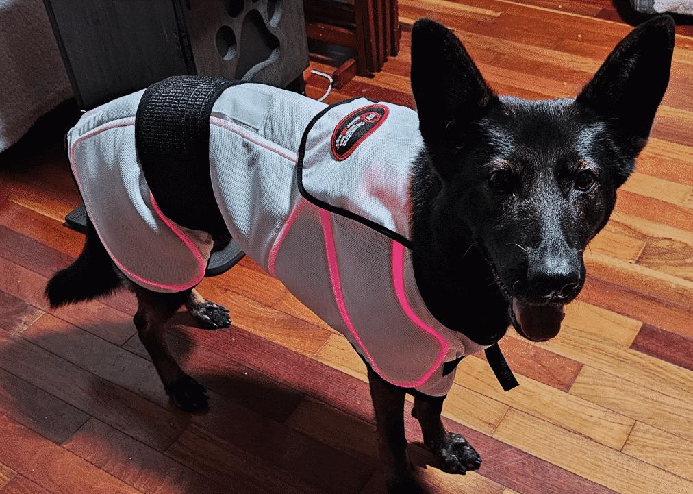 Megaesopnagus Wearable Coat