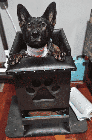 Megaesopnagus Neck Wearable