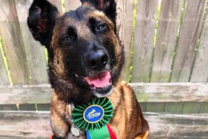 Glock, featured image