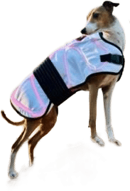 4th of July Sale - Spectra Laser Therapy