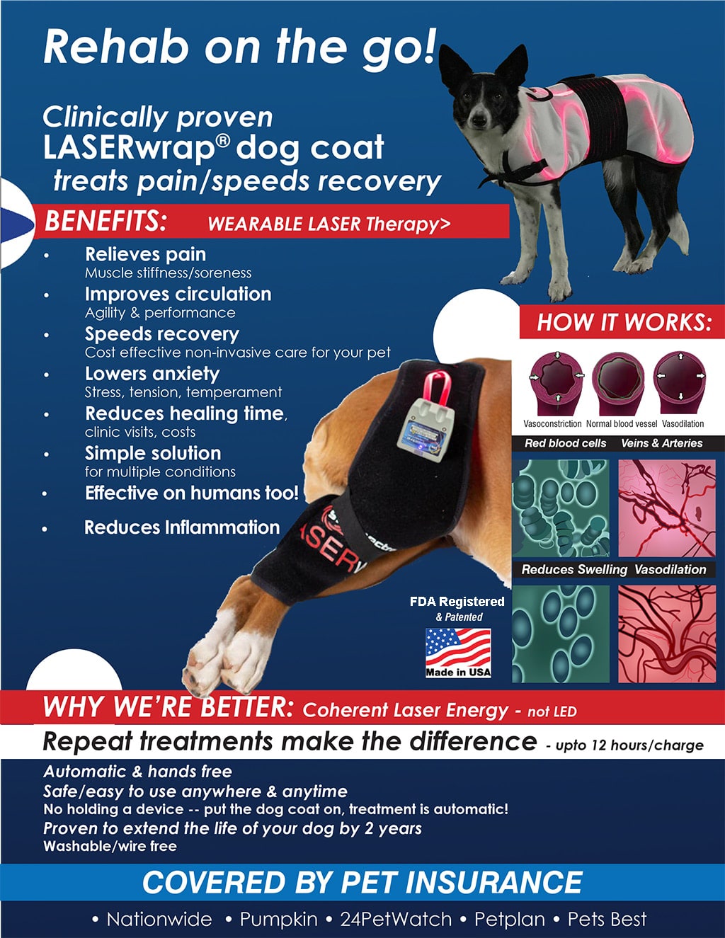 AKC Rehab Flyer 2026