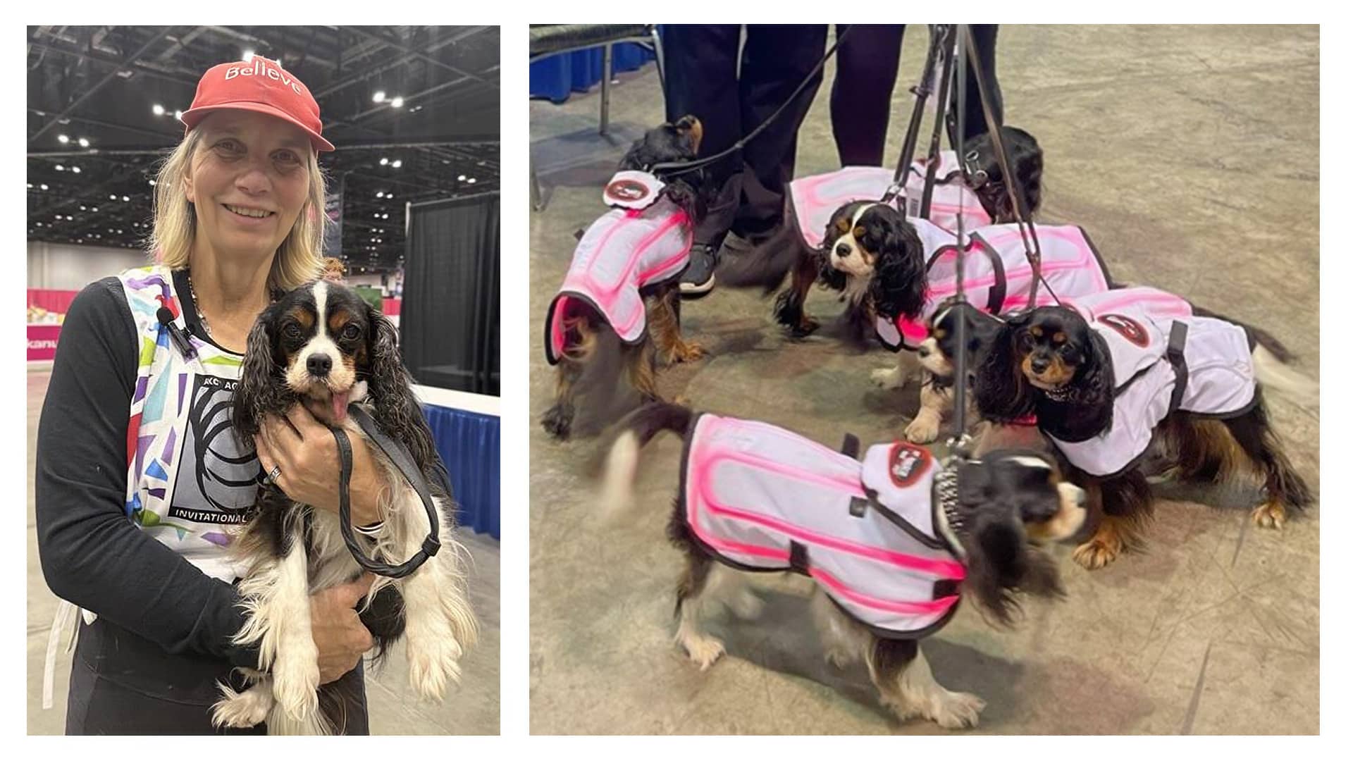 Antonia Rotelle and her dogs