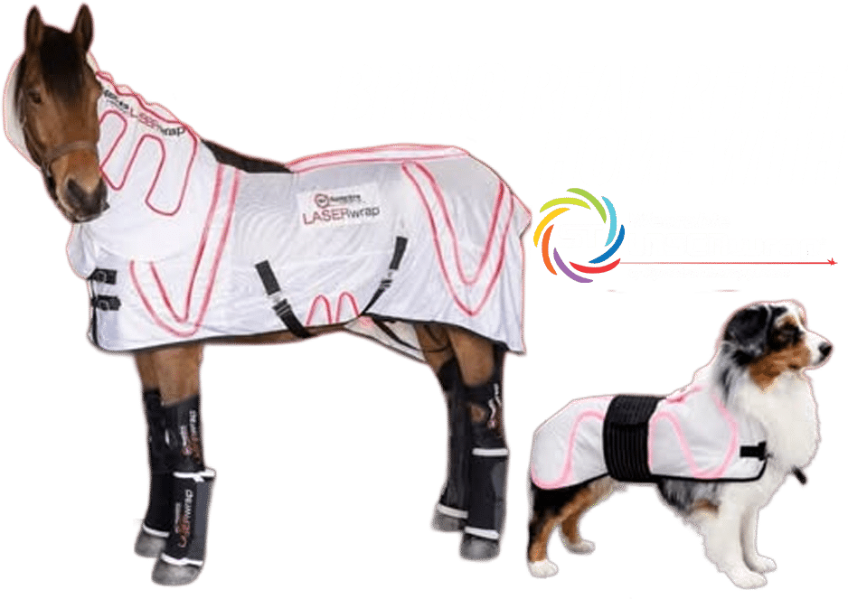 20 percent off and free shipping - bring real relief home with Spectra Laser Therapy