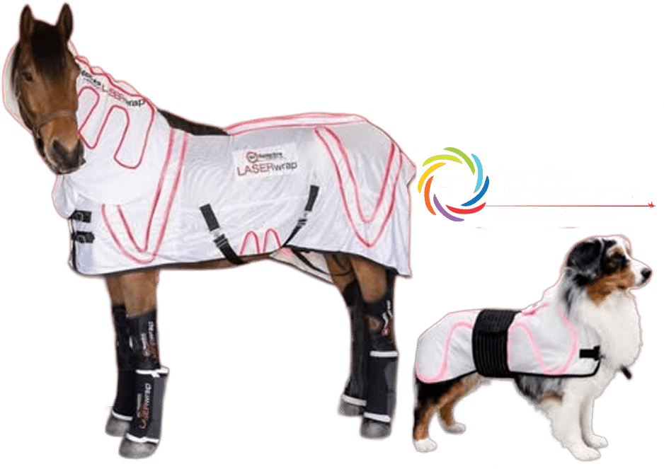 20 percent off and free shipping - bring real relief home with Spectra Laser Therapy