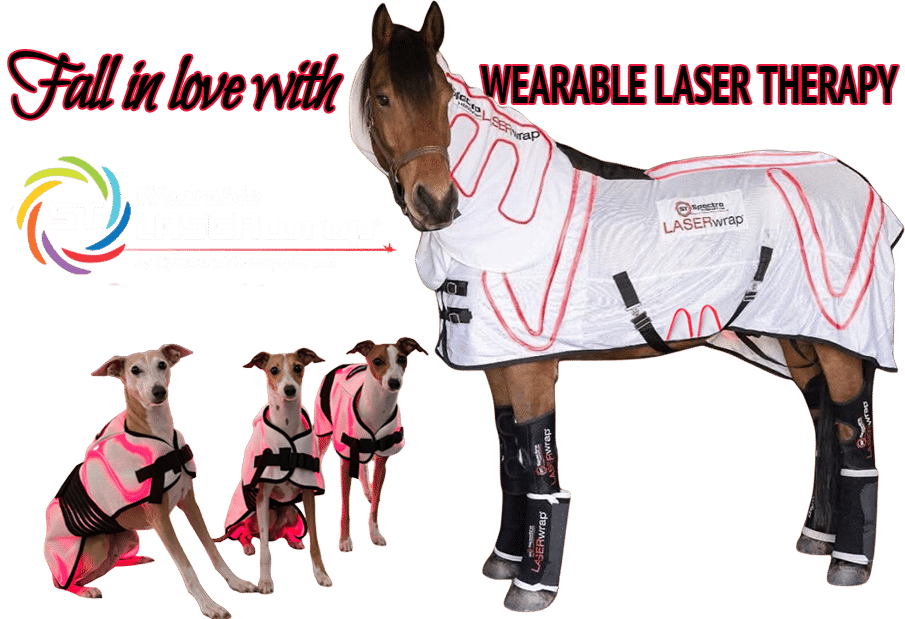 20 percent off  - bring real relief home with Spectra Laser Therapy