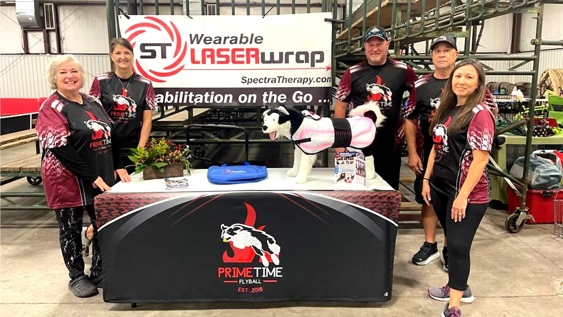 prime-time-flyball-team-laserwrap-recovery